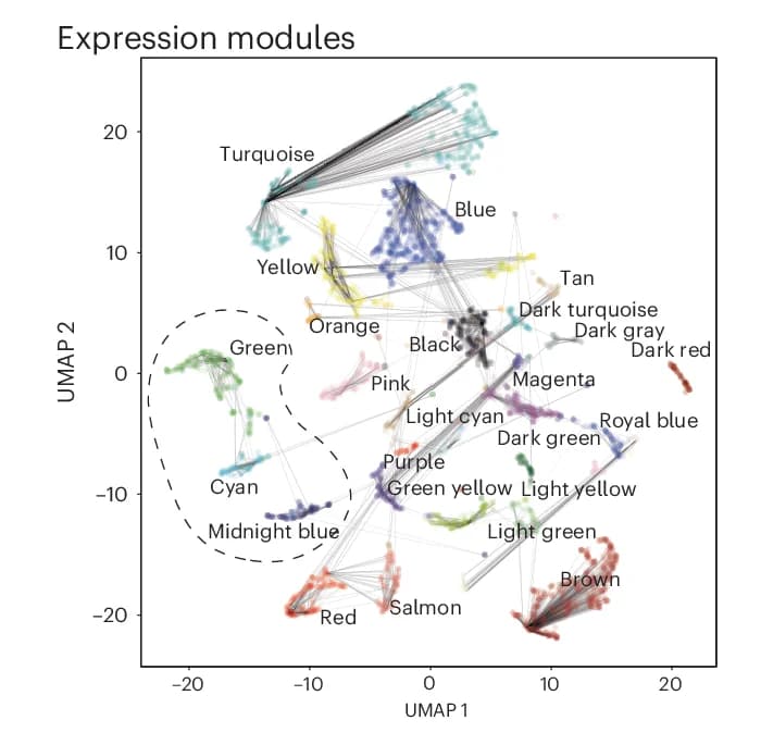 Open access visualization of UMAP, Scatter Plot, Network, Dimensional Reduction, Gene Expression Modules