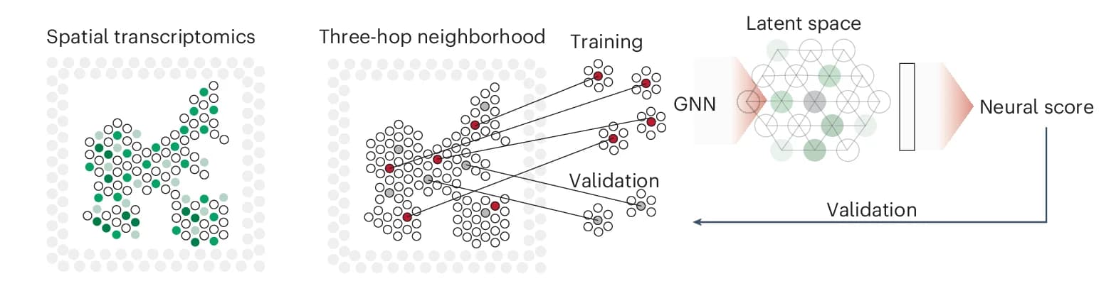 Open access visualization of Workflow, Illustration, Spatial Transcriptomic Data, Subgraphs, GNN