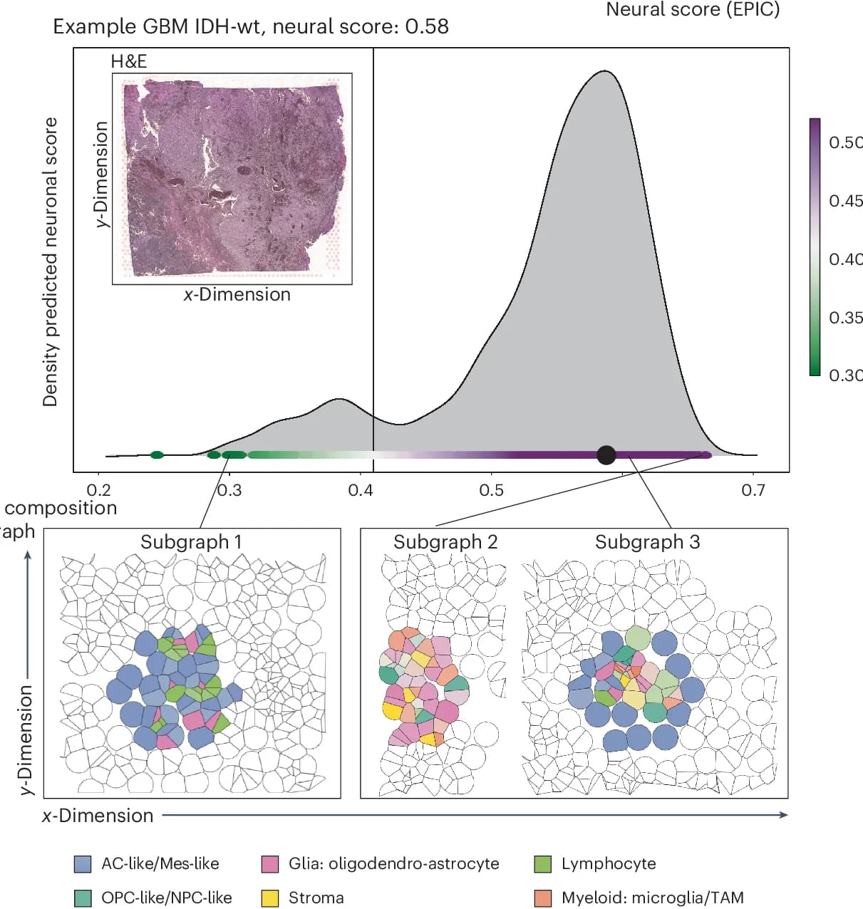 Open access visualization of Density Plot, Microscopy, Network, Glioblastoma Sample, Neural Score