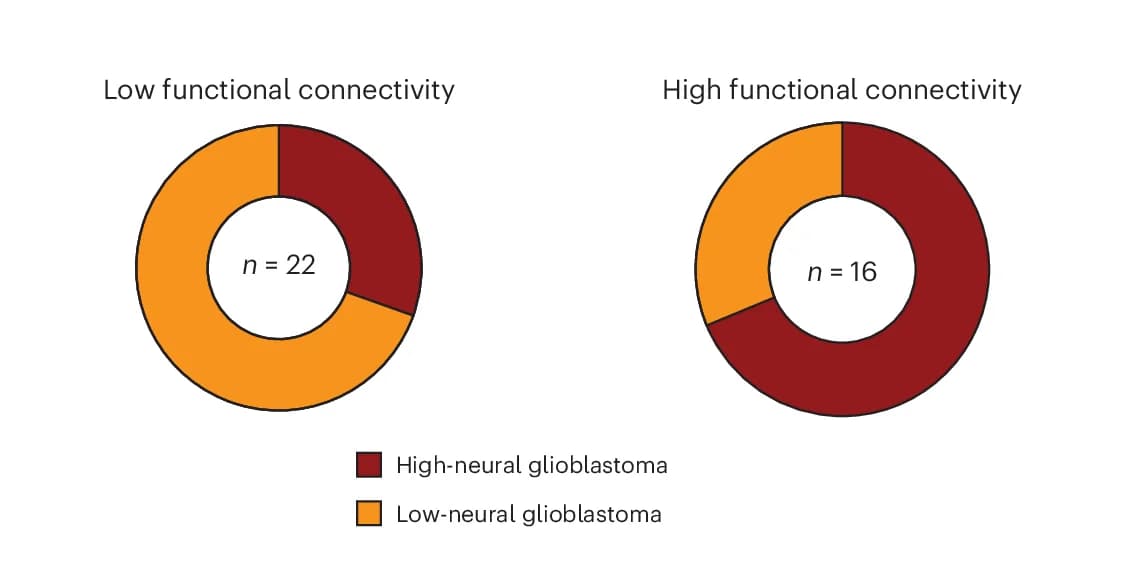 Open access visualization of Donut Chart, Functional Connectivity, Epigenetic Classification, Neural Classification