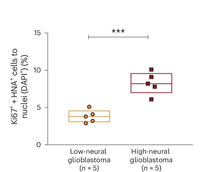 Open access visualization of Box Plot, Scatter Plot, Tumor Cells, Corpus Callosum, Glioblastoma