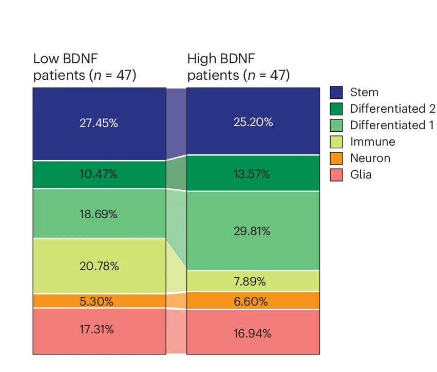 Open access visualization of Stacked Bar Plot, Cell Composition Analysis, Glioblastoma, Low BDNF Serum Levels, High BDNF Serum Levels