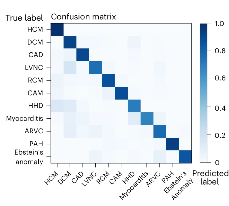 Open access visualization of Heatmap, Confusion Matrix, AI Diagnostic Model, CVD Cohort, Predictions