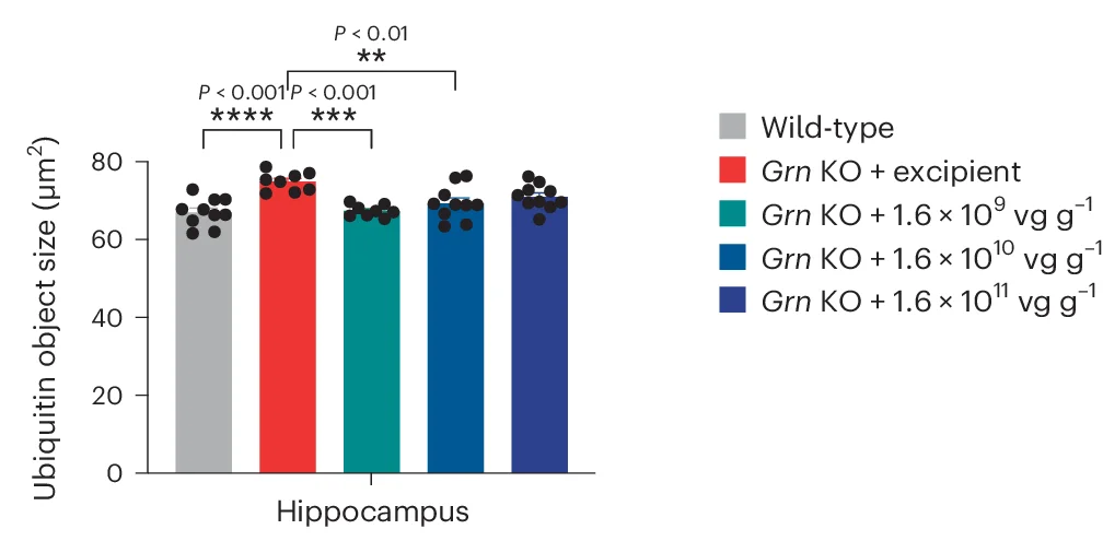 Open access visualization of Bar Plot, Scatter Plot, Immunohistochemistry, Ubiquitin, Hippocampus