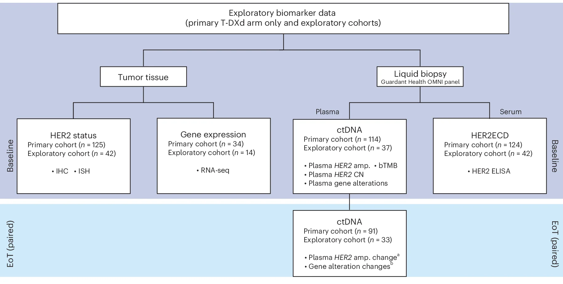 Open access visualization of Workflow, Flowchart, Plasma, HER2 Amplification, Baseline