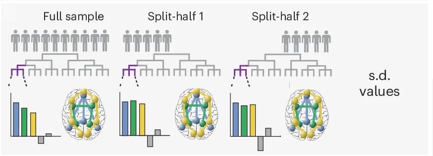 Open access visualization of Workflow, Bar Plot, Network, Circuit Measurements, Biotype