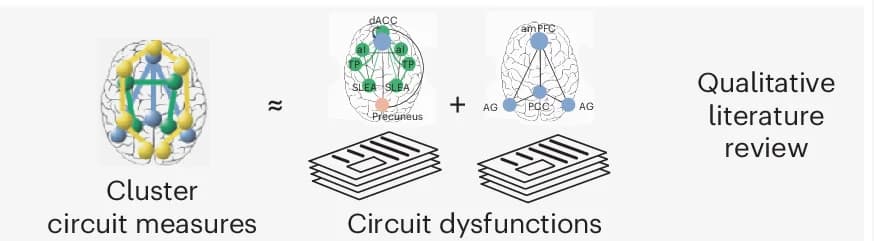 Open access visualization of Network, Pathway, Illustration, Circuit Dysfunction, Literature