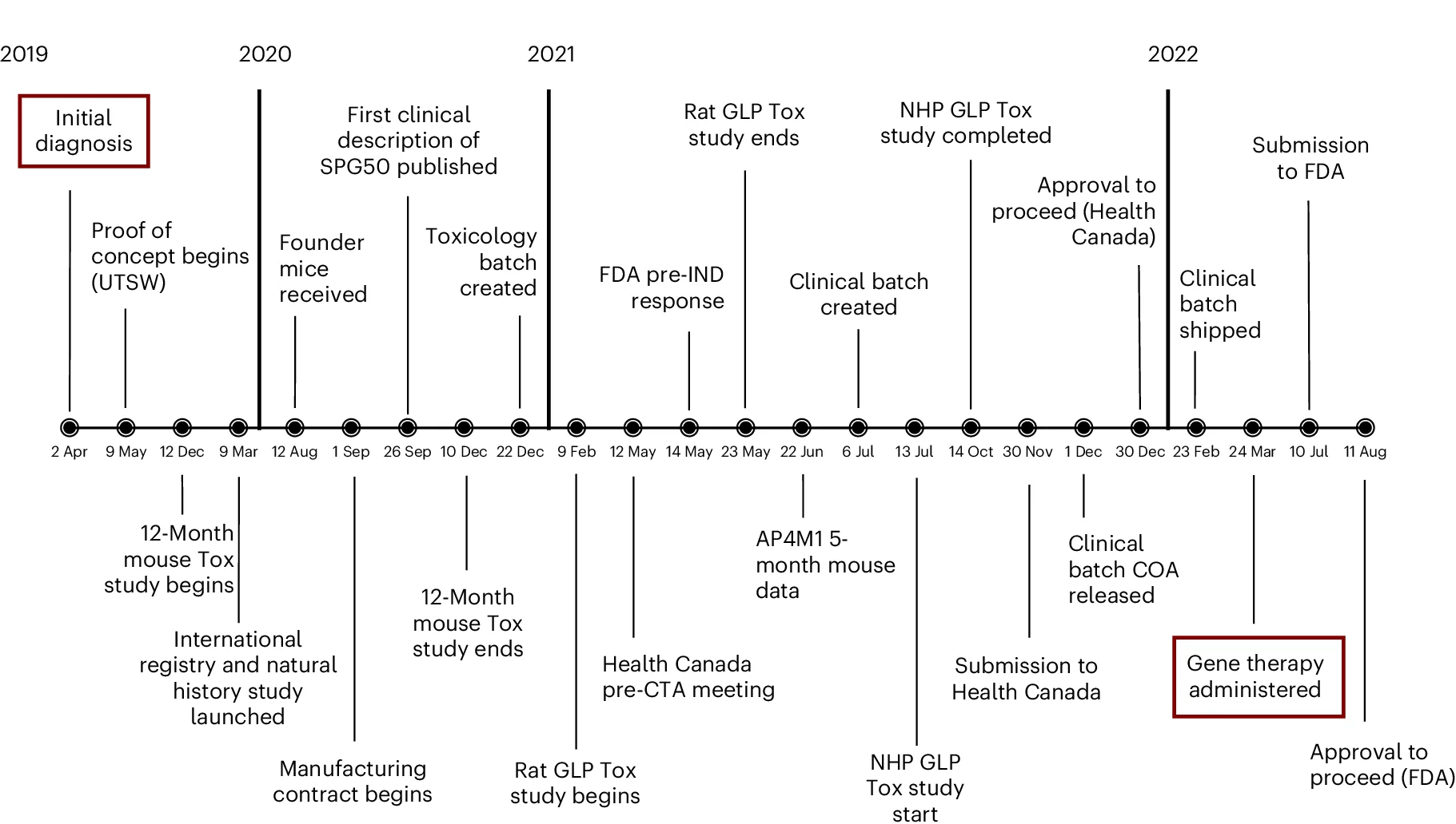 Open access visualization of Workflow, Flowchart, SPG50 Gene Therapy, Patient Diagnosis, Patient Dosing