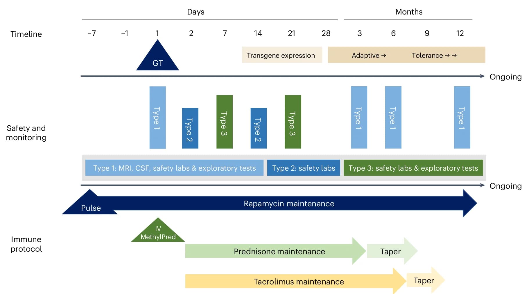 Open access visualization of Workflow, Clinical Trial, Immunosuppression Protocol, Gene Therapy, MRI