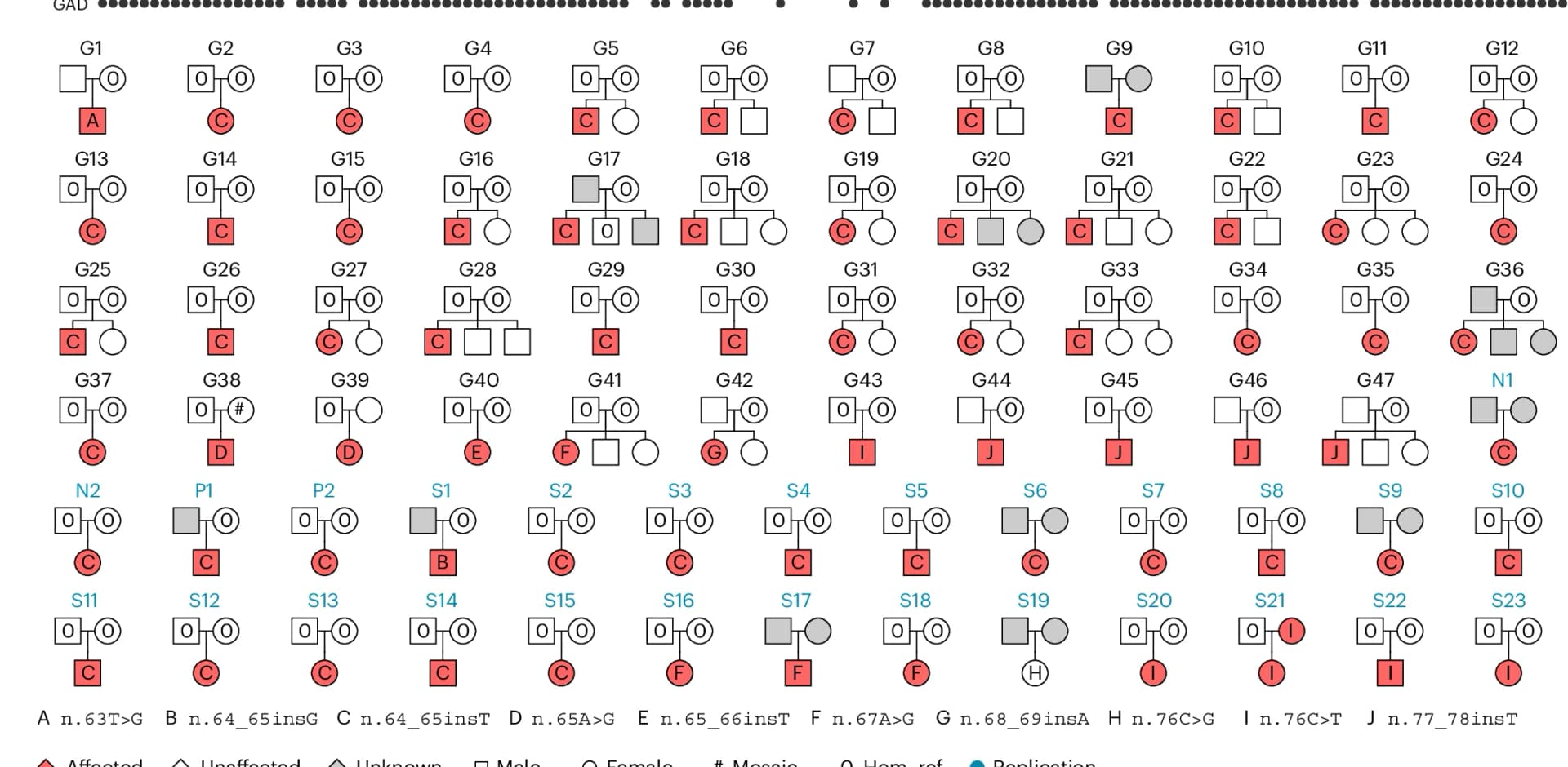 Open access visualization of Illustration, Pedigrees, Participants, Rare alternate allele, 100KGP
