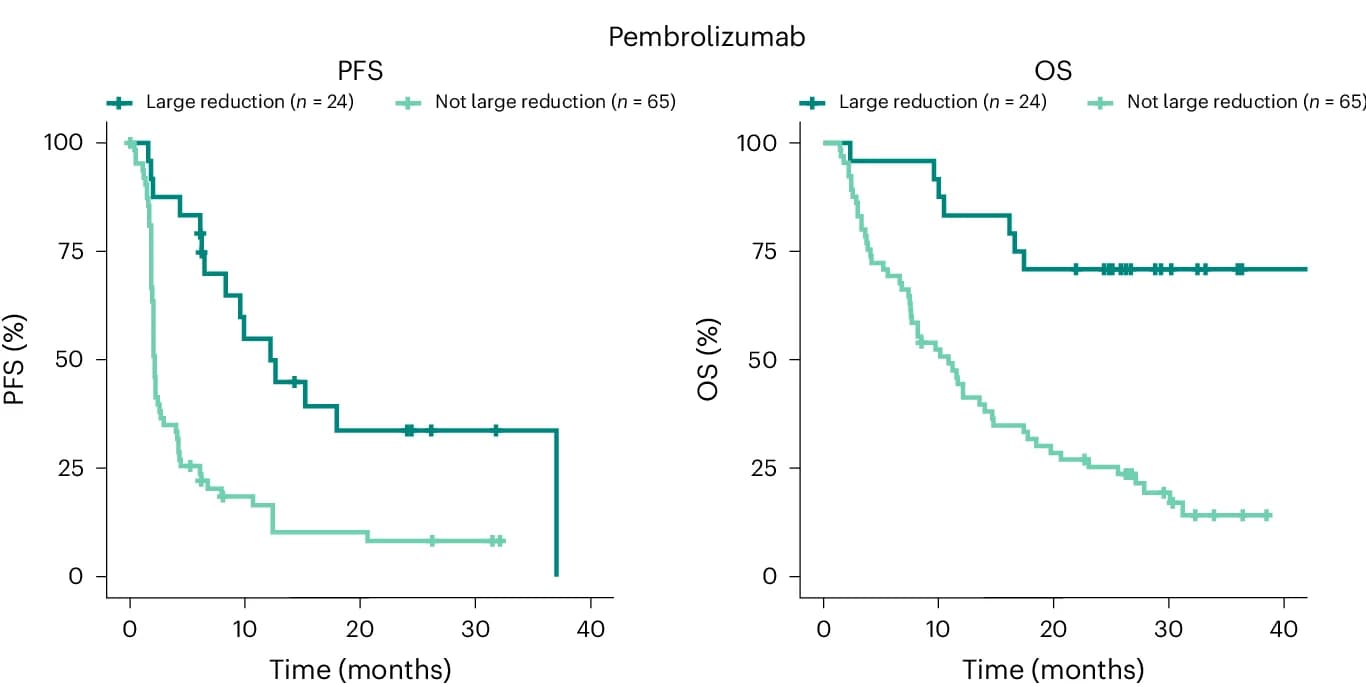 Open access visualization of Survival Curve, Line Step, Kaplan-Meier Estimates, Survival, MR Score