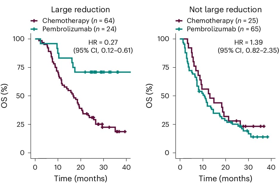 Open access visualization of Survival Curve, Kaplan-Meier Estimates, Overall Survival, MR Score Changes, Median Cutoff