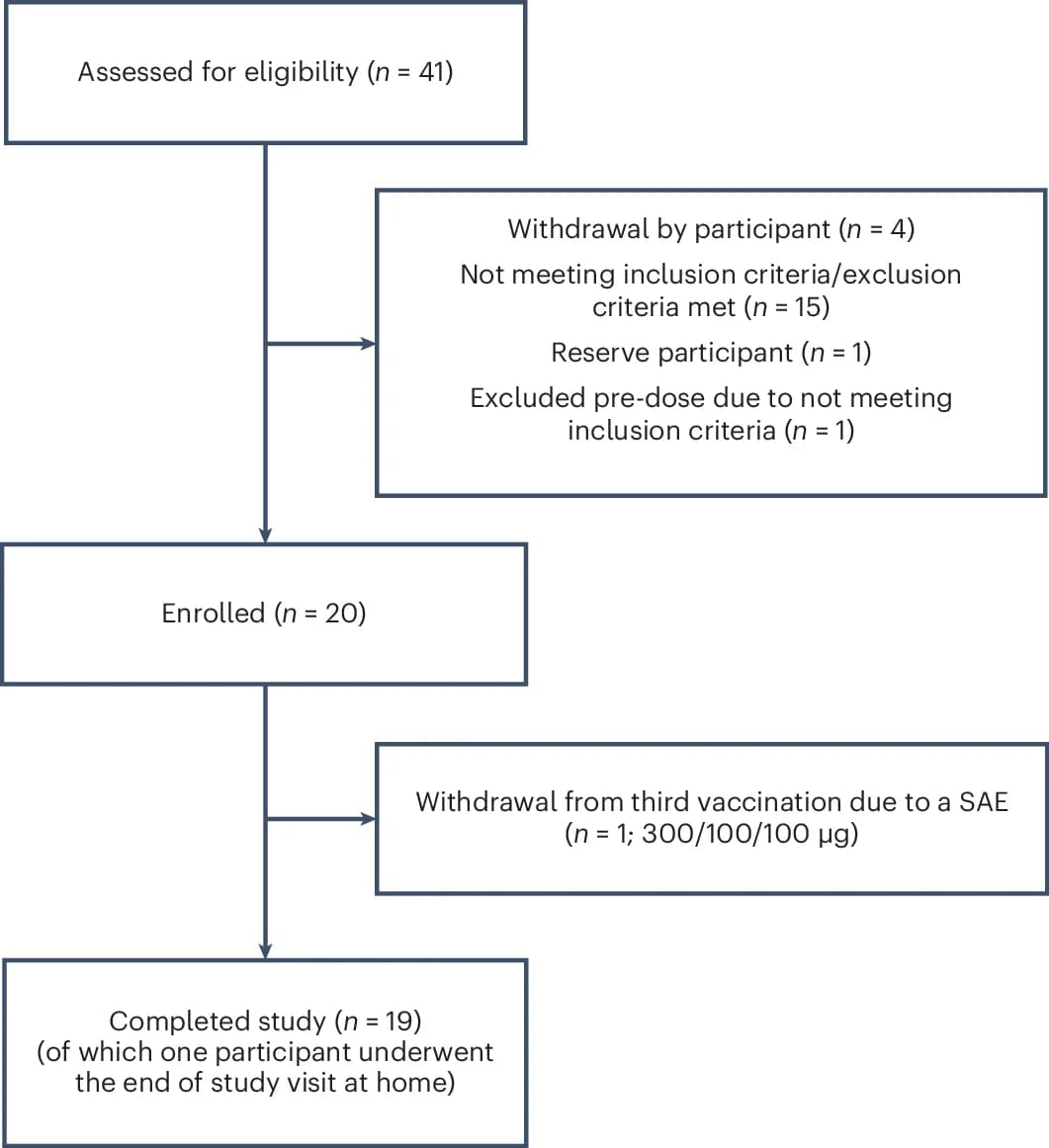 Open access visualization of Workflow, Flowchart, Patients, Placebo, Treatment Groups