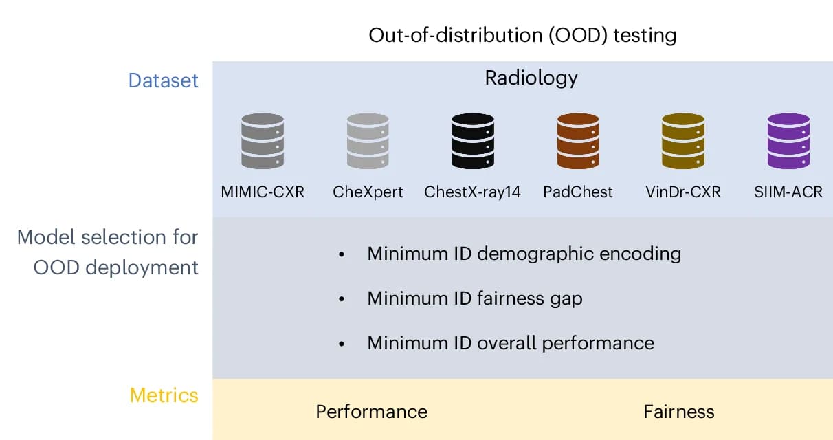 Open access visualization of Illustration, Workflow, CXR Classification Models, Performance, Fairness
