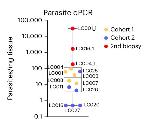 Open access visualization of Box Plot, Scatter Plot, Parasite Load, Biopsy Tissue, Participants