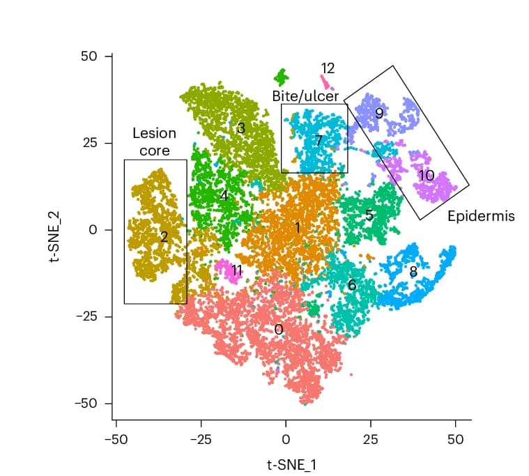 Open access visualization of Scatter Plot, UMAP, PCA, Spots, Clusters