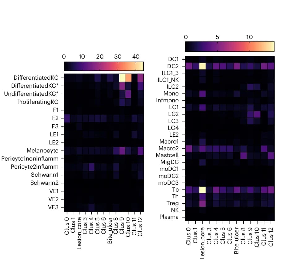 Open access visualization of Heatmap, Cellular Abundances, Clusters, cell2location, Reference Dataset