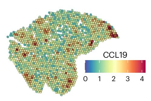 Open access visualization of Scatter Plot, CCL19, mRNA, LC001, Visualization