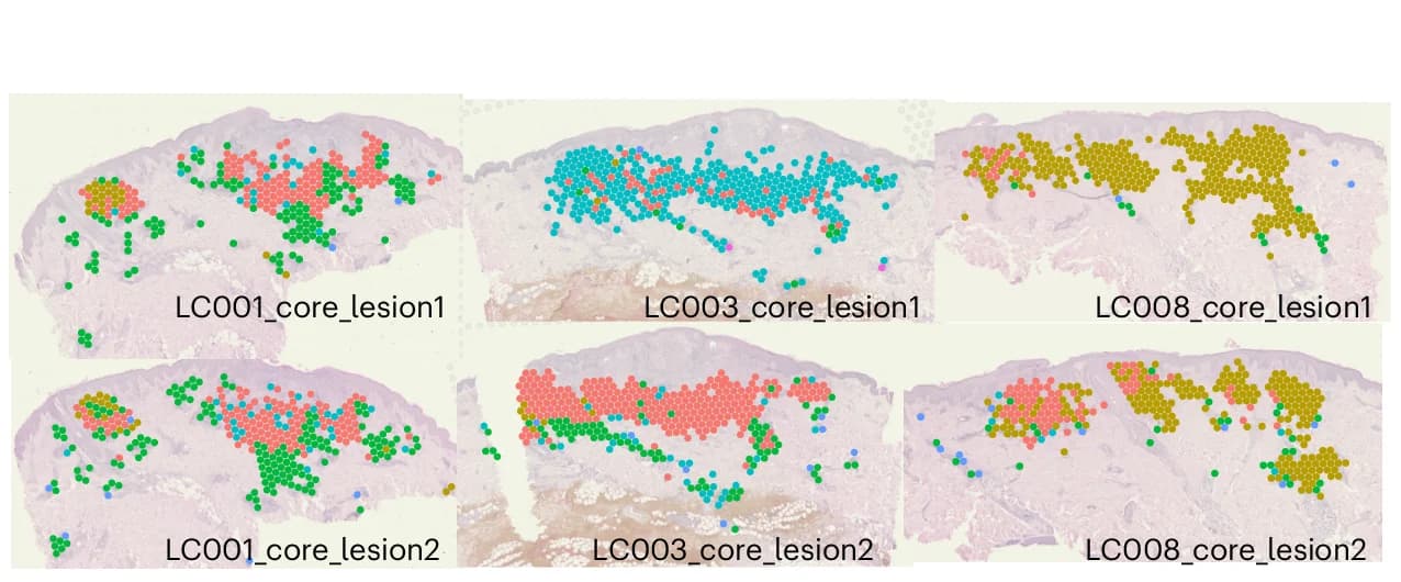 Open access visualization of Microscopy, Scatter Plot, Clusters, Participant, Visualization