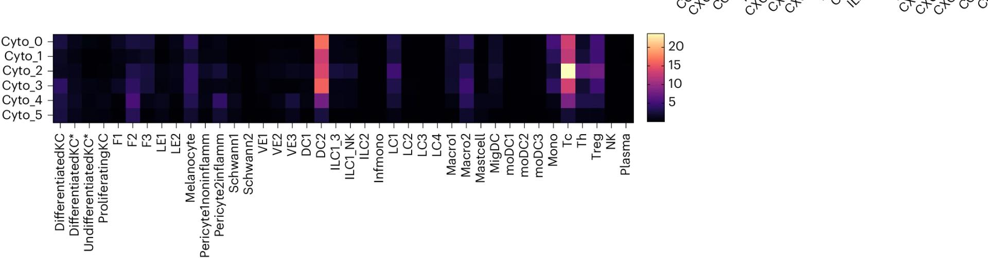 Open access visualization of Heatmap, Cell Abundance, Clusters, Section, Participants
