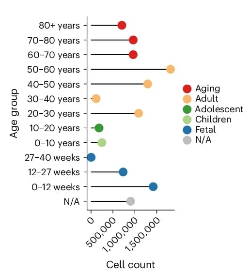 Open access visualization of Scatter Plot, Cell Number Distribution, Age Groups, Human Samples, Fetal Samples