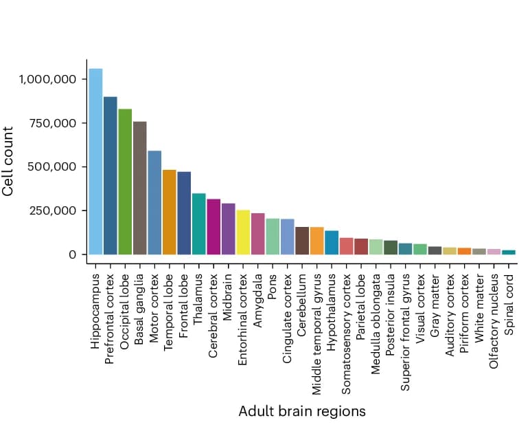 Open access visualization of Bar Plot, Cell Counts, Adult Brain, Regions