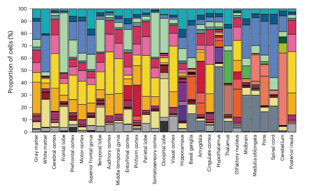 Open access visualization of Stacked Bar Plot, Cell Type Distribution, Brain Regions