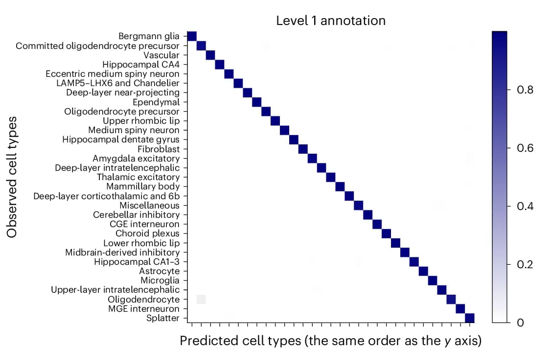 Open access visualization of Heatmap, Prediction Accuracy, First-Level Cell Types, scAnnot