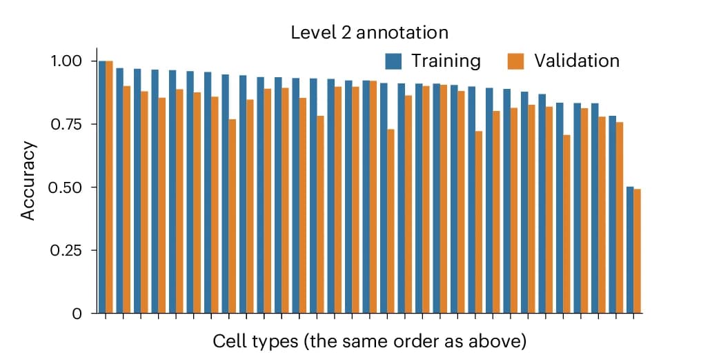 Open access visualization of Clustered, Bar Plot, Training Accuracy, Validation Accuracy, Second-Layer Cell Types