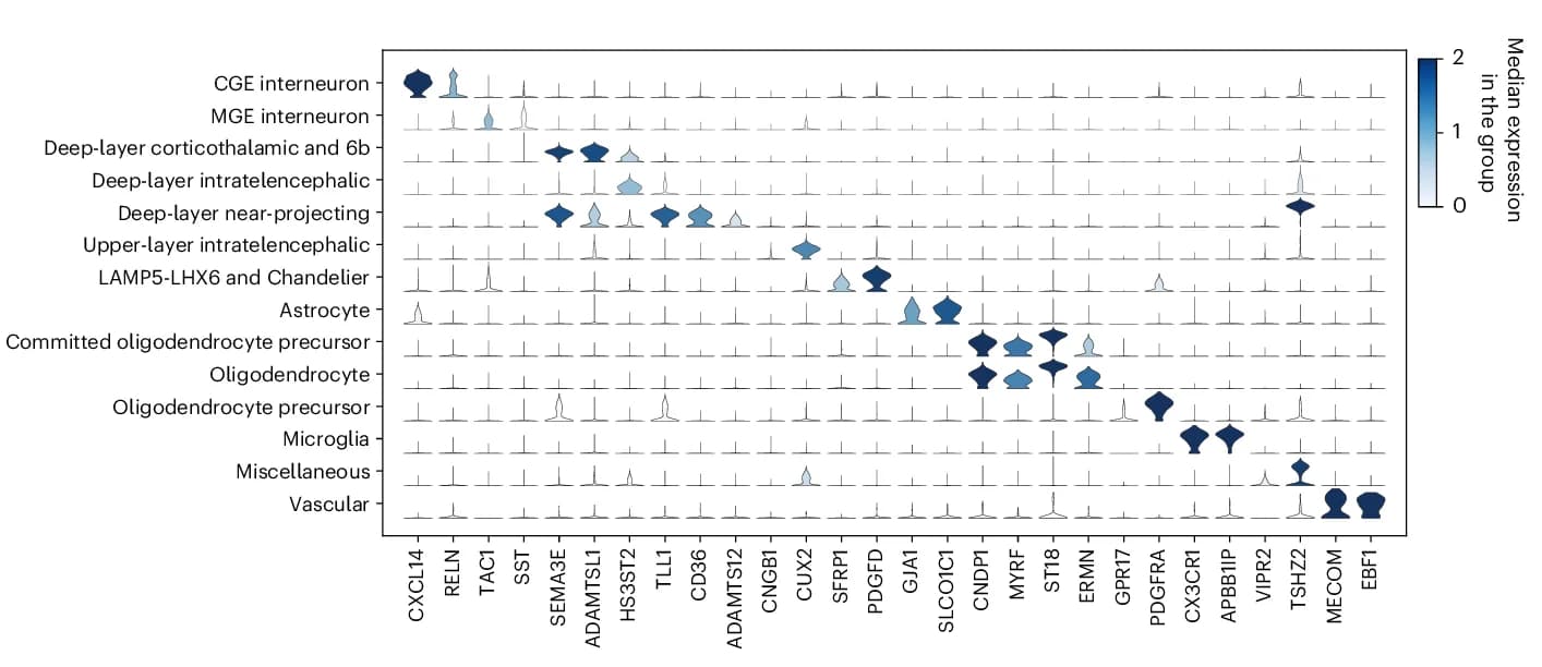 Open access visualization of Violin Plot, Stacked Violin Plot, Gene Expression, Feature Genes, Published Data
