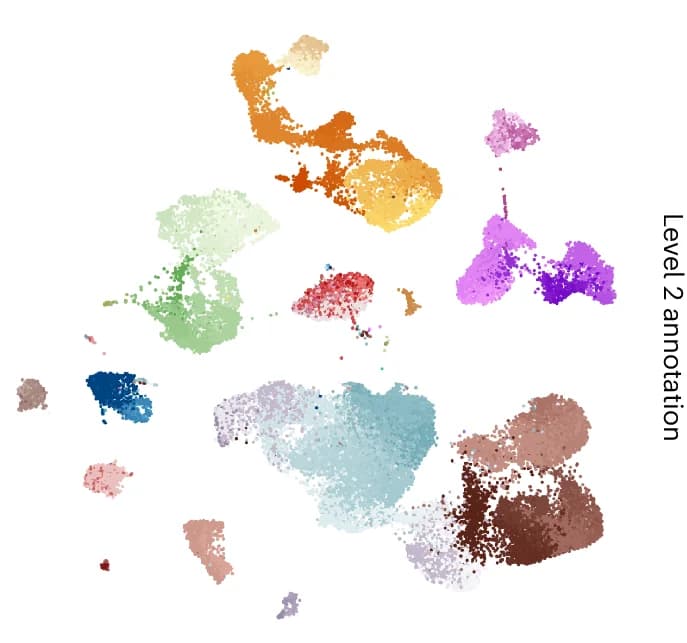 Open access visualization of Scatter Plot, UMAP, PCA, Second-Level Cell Types, scAnnot