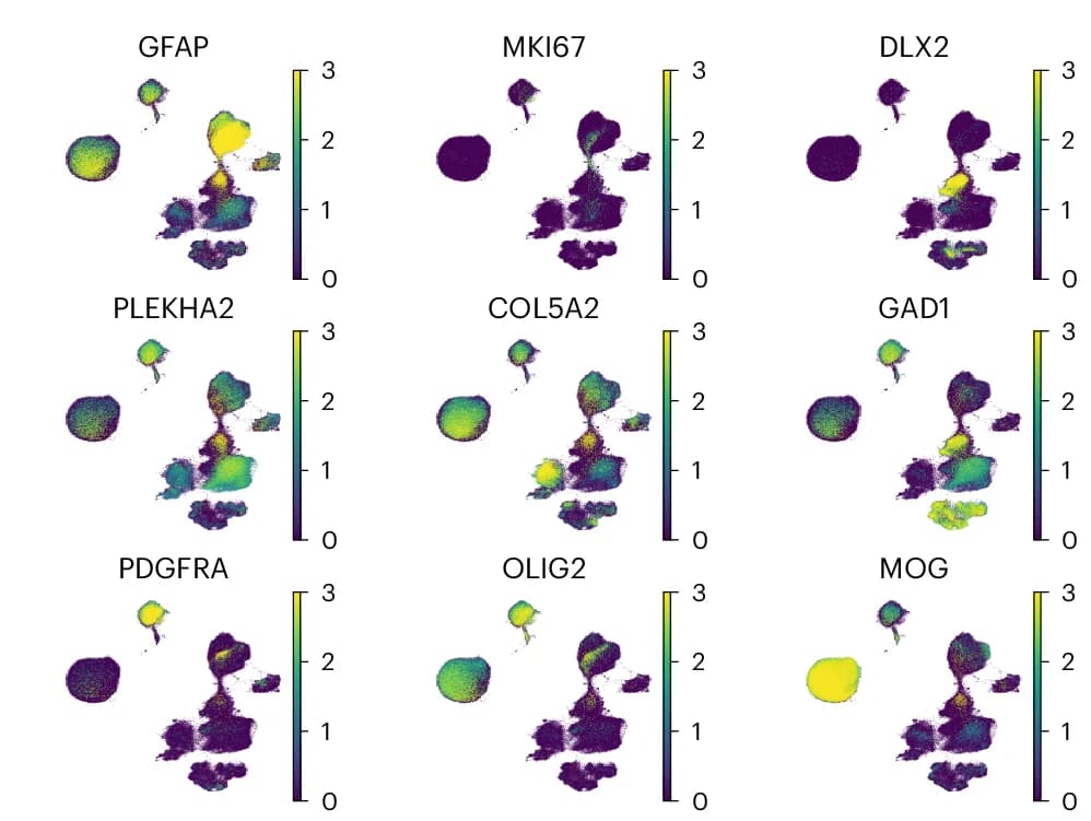 Open access visualization of UMAP, Expression Levels, Marker Genes