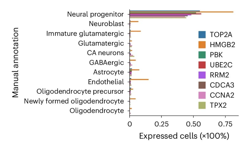 Open access visualization of Bar Plot, Clustered, Cell Proportion, NPC Marker Genes, Cell Types