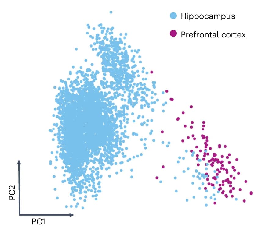 Open access visualization of Scatter Plot, PCA, PCA Plot, Microglia, PCDH9