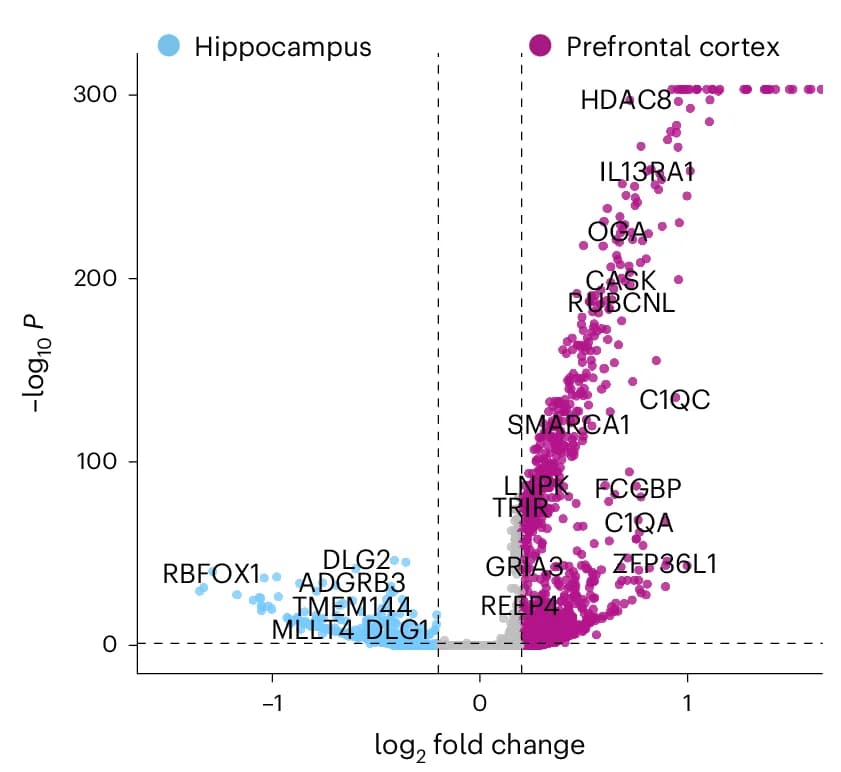 Open access visualization of Volcano Plot, Scatter Plot, DEGs, Hippocampus, Prefrontal Cortex
