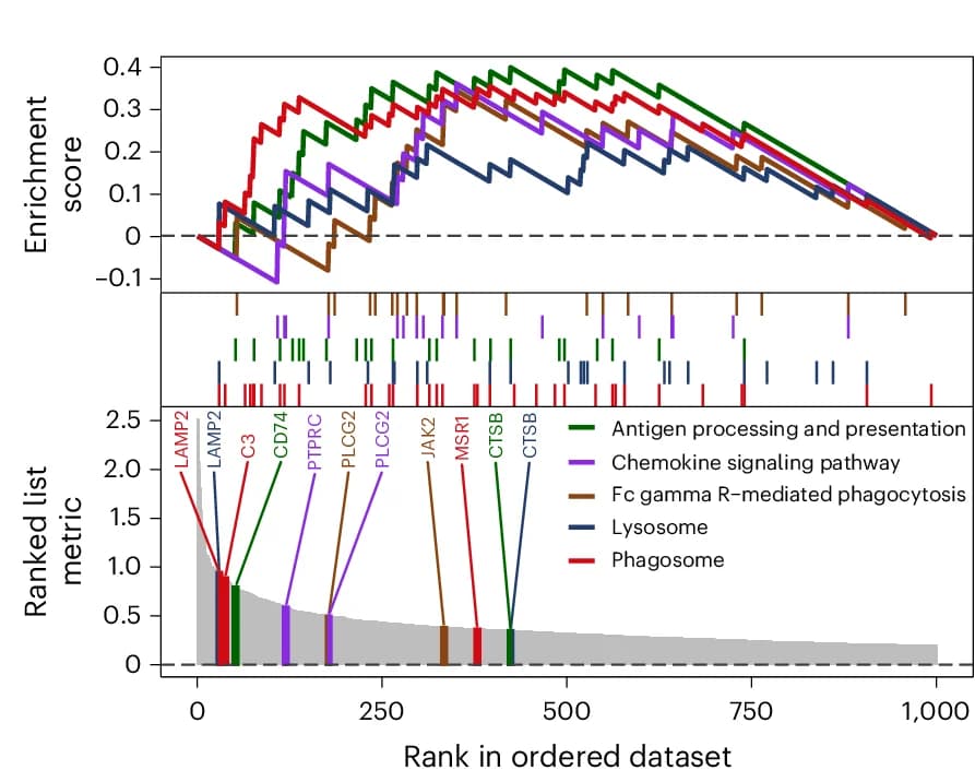 Open access visualization of Line Plot, GSEA, Gene Sets, Microglia, PCDH9