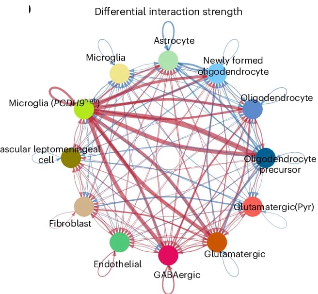 Open access visualization of Network, Pathway, Chord, Circle Plot, Cell Types
