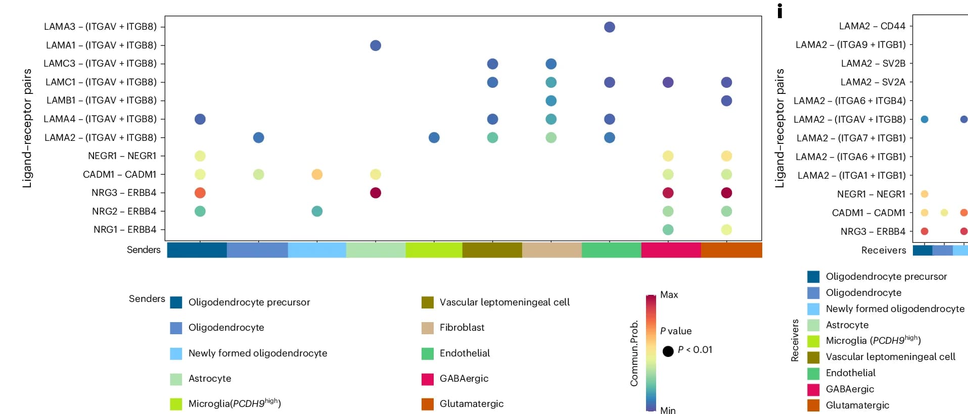 Open access visualization of Bubble Plot, Scatter Plot, Dot Plot, Ligand Receptor Pairs, NRG Pathway