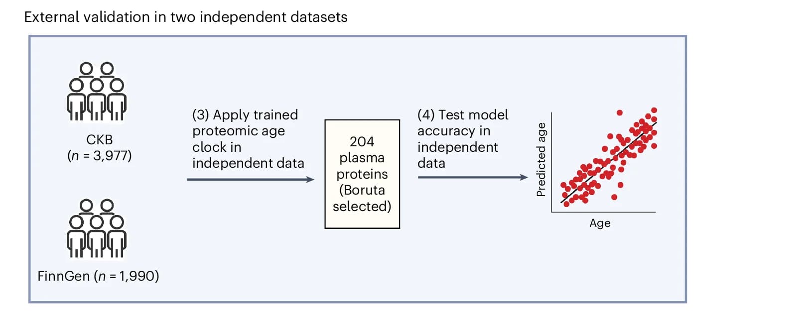 Open access visualization of Workflow, Scatter Plot, Regression Plot, CKB, FinnGen