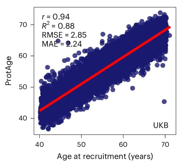 Open access visualization of Scatter Plot, Regression Plot, Proteomic aging model, Performance, UKB