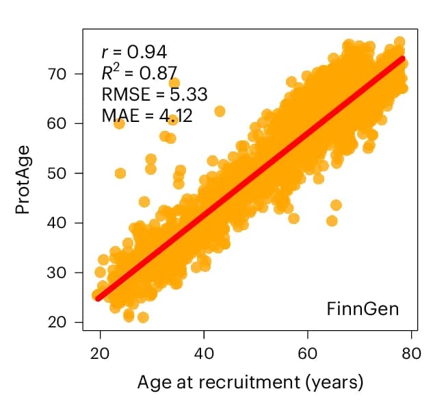 Open access visualization of Scatter Plot, Regression Plot, Proteomic aging model, Performance, FinnGen