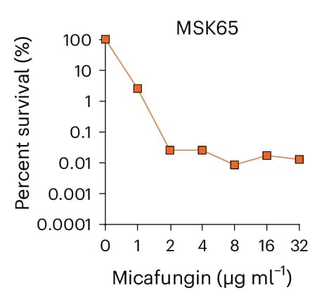 Open access visualization of Line Plot, Micafungin PAPs, Isolates, Drug-free agar, Percent survival