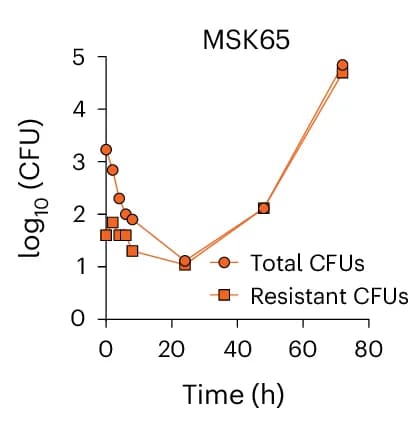 Open access visualization of Line Plot, Colony-forming unit, CFU dynamics, Resistant subpopulations, YPD broth