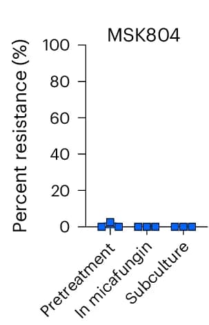 Open access visualization of Scatter Plot, Micafungin-resistant subpopulation, Continuous passage, Drug-free YPD broth, YPD broth
