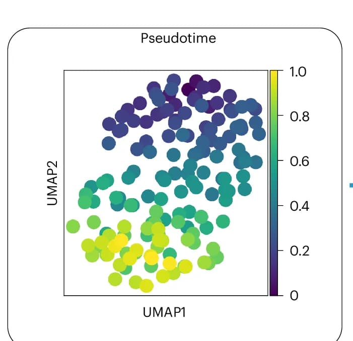 Open access visualization of UMAP, Scatter Plot, Pseudotime, Medical Images, Disease Progression