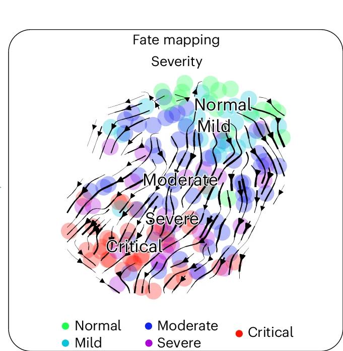 Open access visualization of Scatter Plot, Flowchart, Stream Projection, Fate Mapping, UMAP