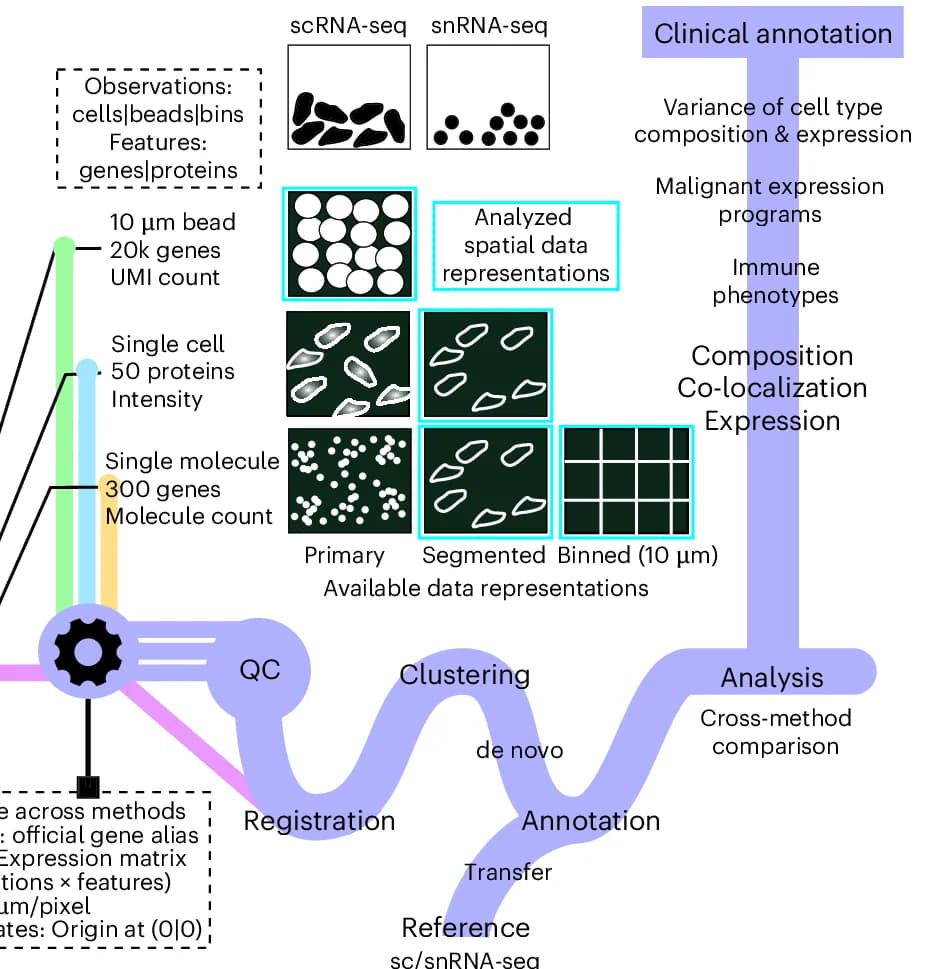 Open access visualization of Workflow, Illustration, Data Types, Data Processing, Analysis