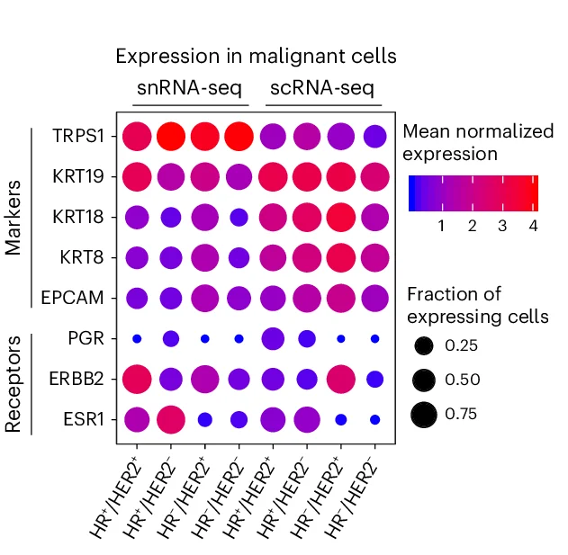 Open access visualization of Bubble Plot, Heatmap, Dot Plot, Expression Level, Malignant Marker Gene
