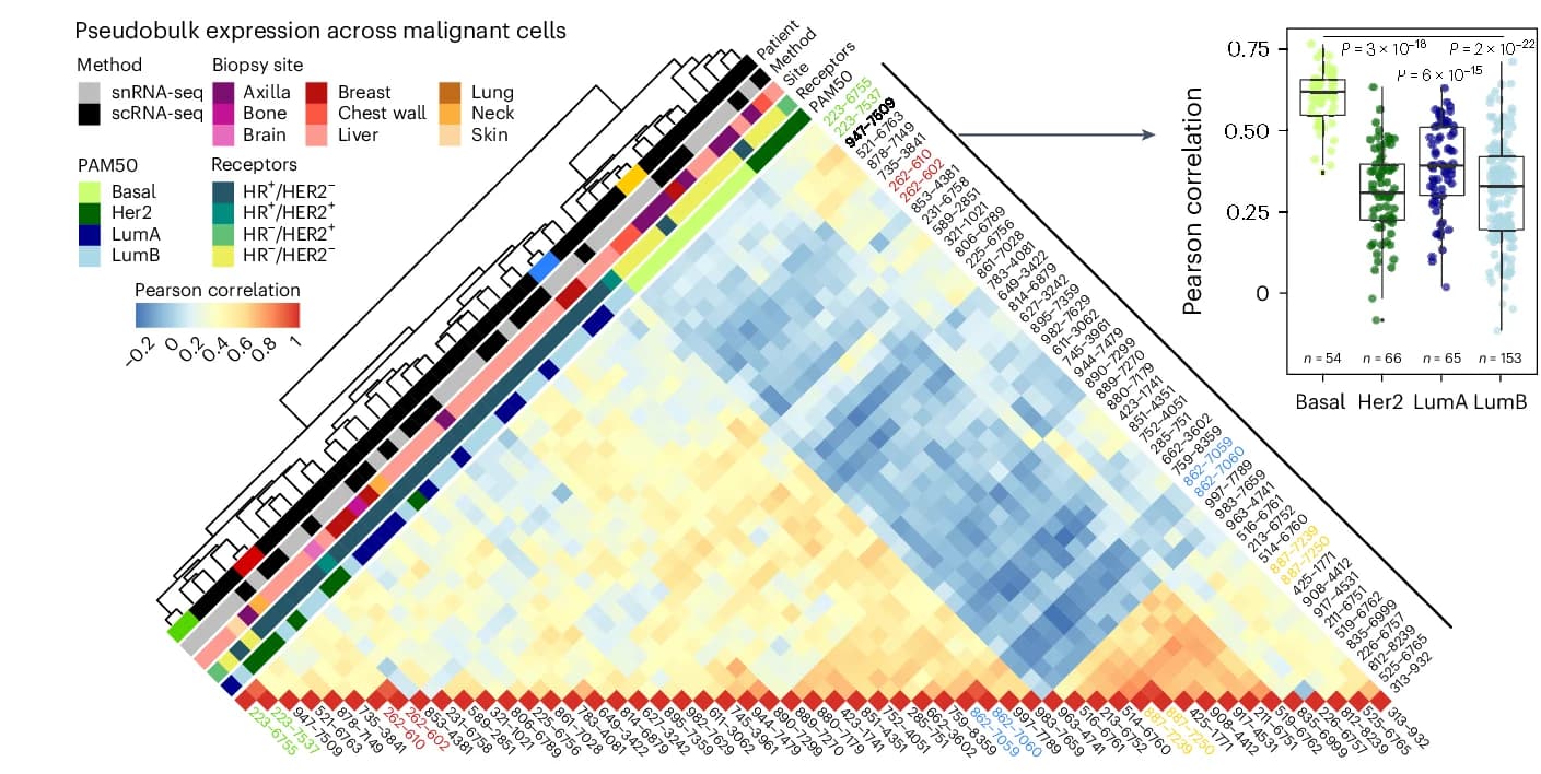Open access visualization of Heatmap, Box Plot, Scatter Plot, Pair-wise Correlation, Pseudobulk Expression Profile