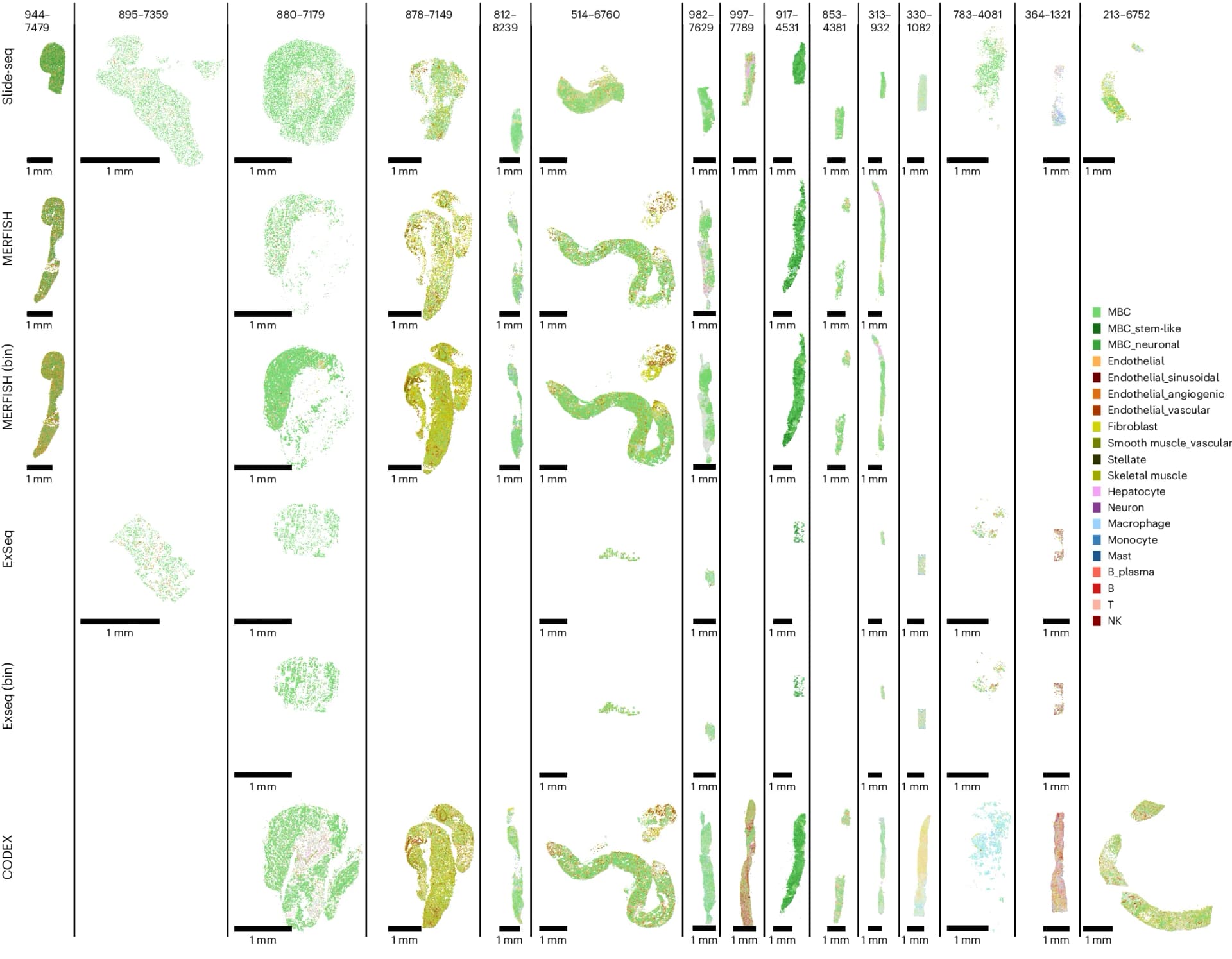 Open access visualization of Microscopy, Spatial Expression Datasets, Samples, Methods, Spatial Scatter Plot